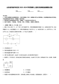 山东省济南市章丘区2023-2024学年物理九上期末质量跟踪监视模拟试题含答案