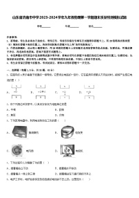 山东省济南市中学2023-2024学年九年级物理第一学期期末质量检测模拟试题含答案