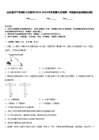 山东省济宁兖州区七校联考2023-2024学年物理九年级第一学期期末监测模拟试题含答案