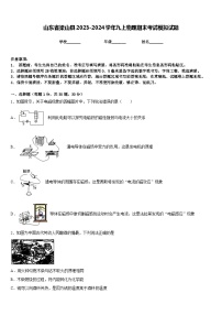 山东省梁山县2023-2024学年九上物理期末考试模拟试题含答案