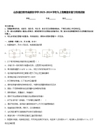 山东省日照市高新区中学2023-2024学年九上物理期末复习检测试题含答案