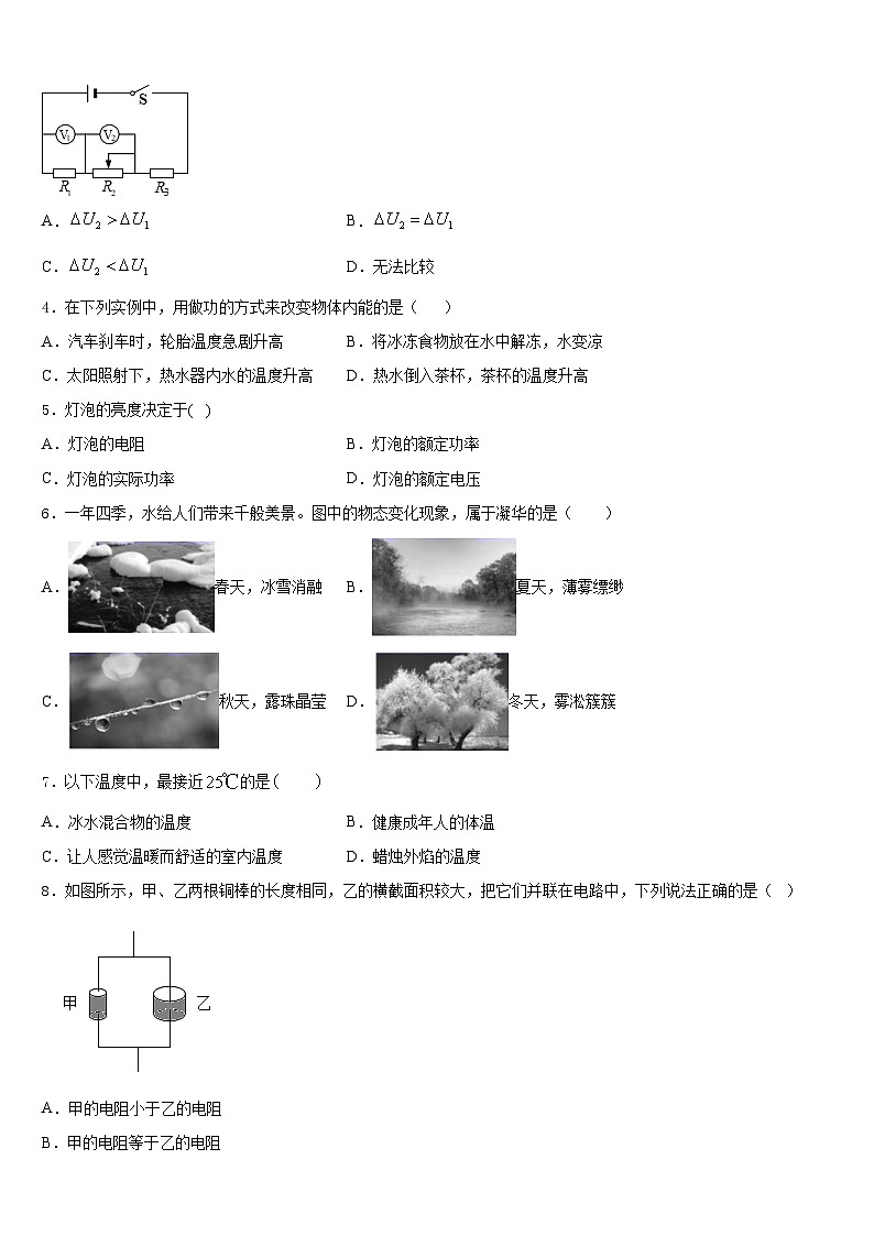 山东省日照市莒县2023-2024学年九年级物理第一学期期末复习检测试题含答案第2页
