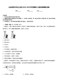 山东省枣庄市台儿庄区2023-2024学年物理九上期末调研模拟试题含答案