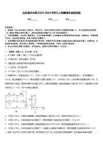 山东省沂水县2023-2024学年九上物理期末监测试题含答案