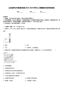 山东省枣庄市薛城区临城2023-2024学年九上物理期末质量检测试题含答案