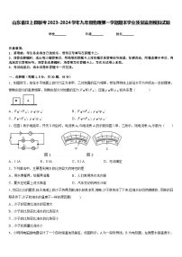 山东省汶上县联考2023-2024学年九年级物理第一学期期末学业质量监测模拟试题含答案