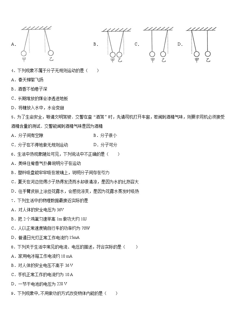 山东省泰安市名校2023-2024学年物理九上期末综合测试模拟试题含答案第2页