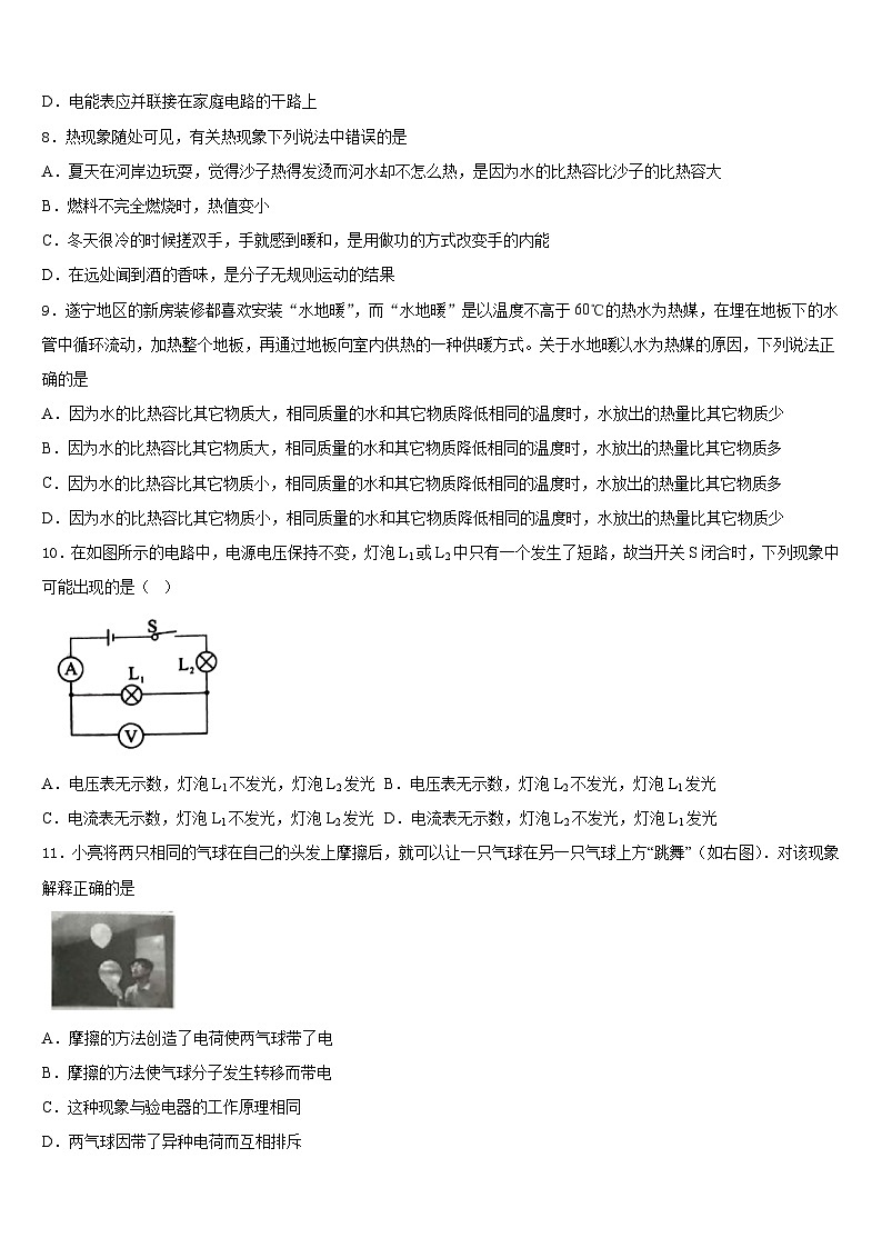 山东省沂南县2023-2024学年物理九上期末质量检测模拟试题含答案第3页
