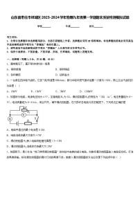 山东省枣庄市峄城区2023-2024学年物理九年级第一学期期末质量检测模拟试题含答案