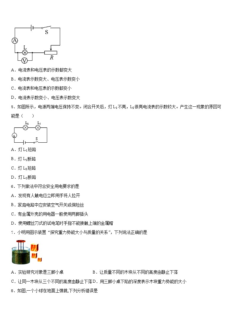 山东省泰安市新城实验中学2023-2024学年九年级物理第一学期期末学业质量监测试题含答案02