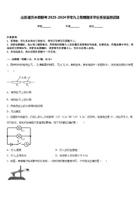 山东省沂水县联考2023-2024学年九上物理期末学业质量监测试题含答案