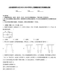 山东省滨州市六校2023-2024学年九上物理期末复习检测模拟试题含答案