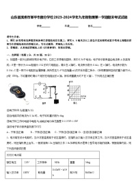 山东省滨州市邹平市部分学校2023-2024学年九年级物理第一学期期末考试试题含答案