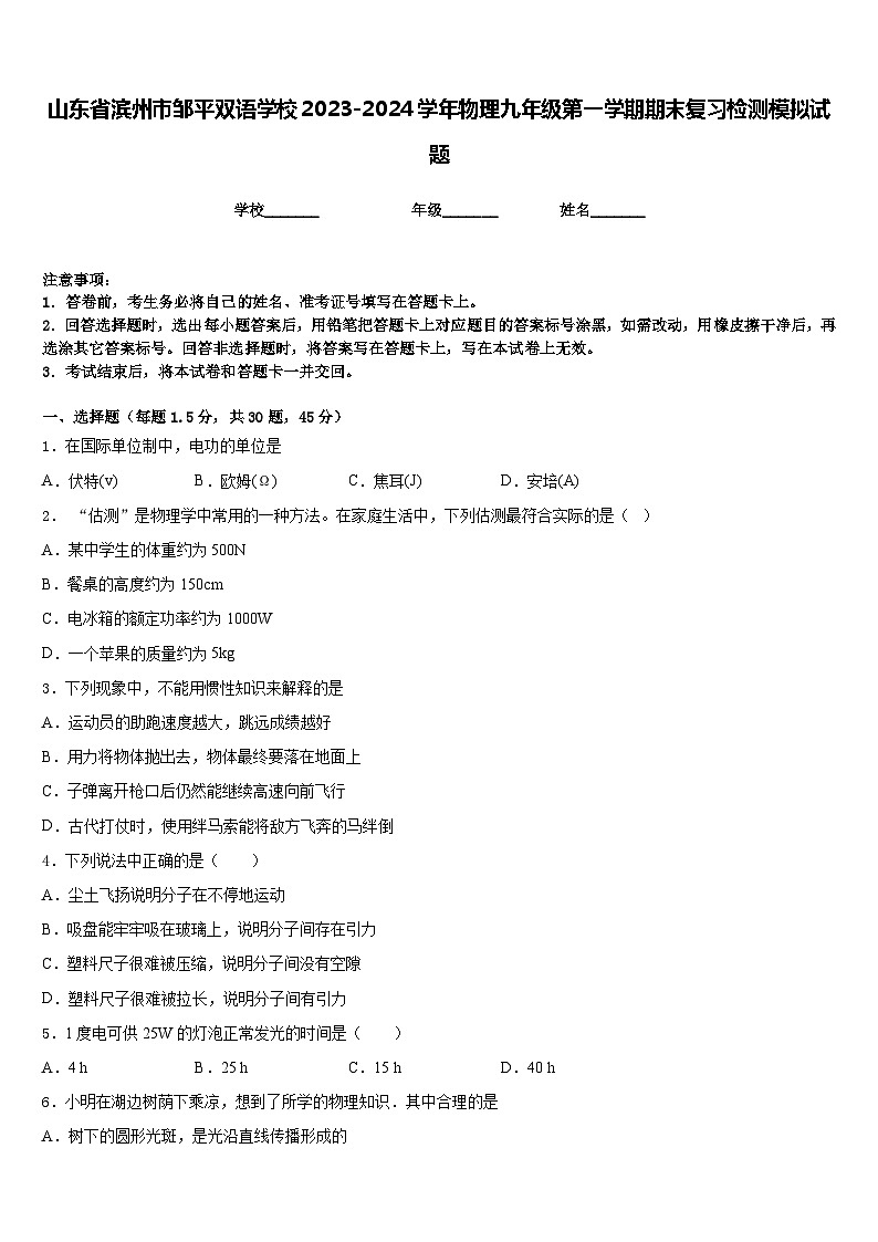 山东省滨州市邹平双语学校2023-2024学年物理九年级第一学期期末复习检测模拟试题含答案01