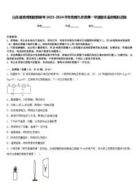 山东省滨州阳信县联考2023-2024学年物理九年级第一学期期末监测模拟试题含答案