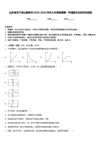 山东省济宁梁山县联考2023-2024学年九年级物理第一学期期末达标检测试题含答案