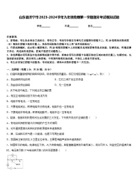 山东省济宁市2023-2024学年九年级物理第一学期期末考试模拟试题含答案