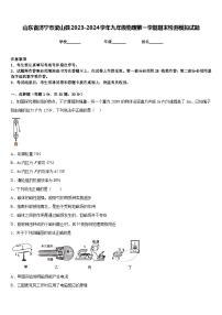 山东省济宁市梁山县2023-2024学年九年级物理第一学期期末检测模拟试题含答案