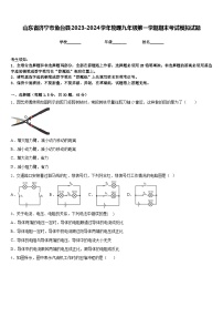 山东省济宁市鱼台县2023-2024学年物理九年级第一学期期末考试模拟试题含答案