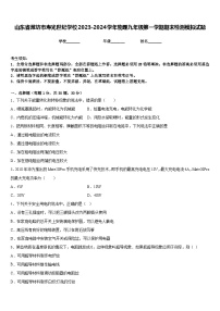 山东省潍坊市寿光世纪学校2023-2024学年物理九年级第一学期期末检测模拟试题含答案