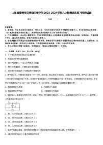 山东省滕州市洪绪镇洪绪中学2023-2024学年九上物理期末复习检测试题含答案