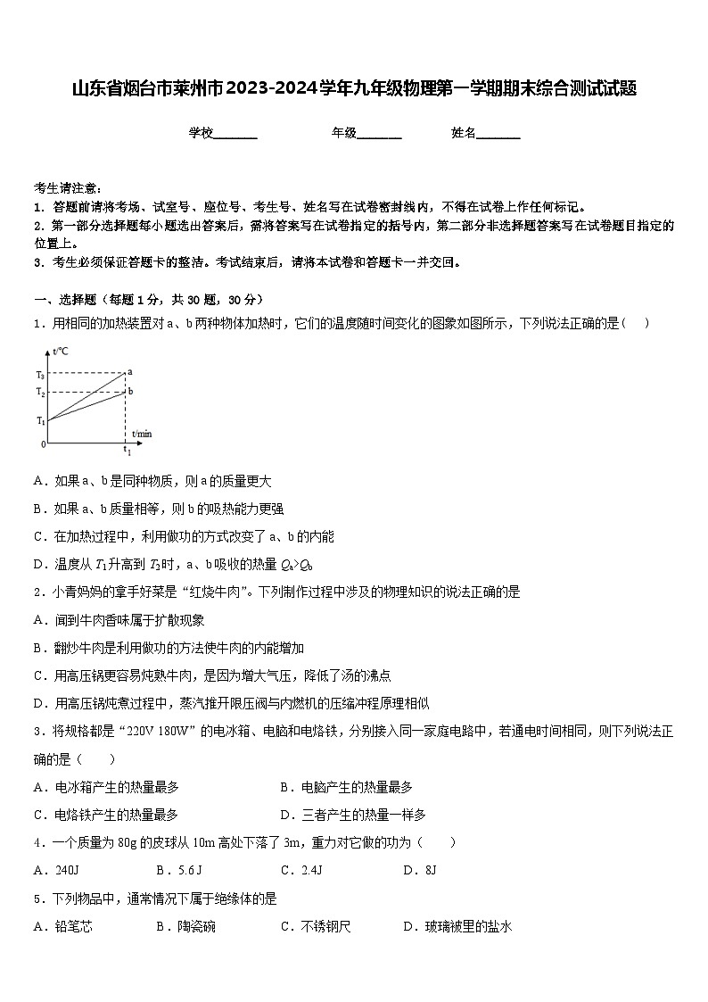山东省烟台市莱州市2023-2024学年九年级物理第一学期期末综合测试试题含答案第1页