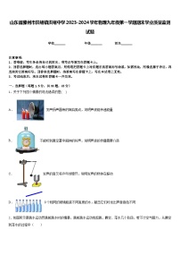 山东省滕州市洪绪镇洪绪中学2023-2024学年物理九年级第一学期期末学业质量监测试题含答案