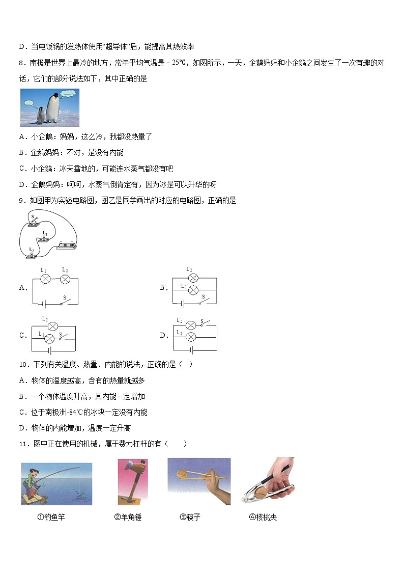 山东省聊城冠县联考2023-2024学年物理九年级第一学期期末质量跟踪监视试题含答案第3页