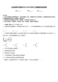 山东省潍坊市辖县2023-2024学年九上物理期末监测试题含答案