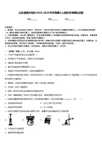 山东省部分地区2023-2024学年物理九上期末统考模拟试题含答案