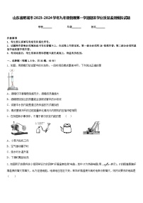 山东省肥城市2023-2024学年九年级物理第一学期期末学业质量监测模拟试题含答案