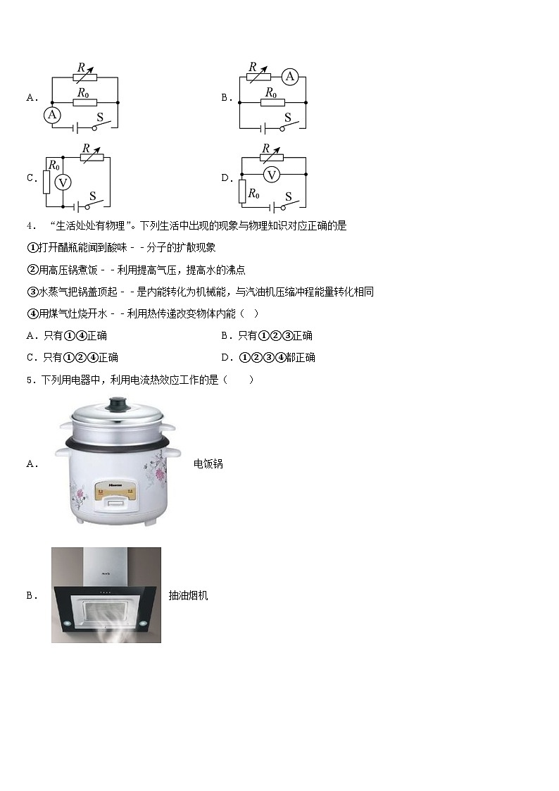 山东省肥城市2023-2024学年九年级物理第一学期期末学业质量监测模拟试题含答案第2页
