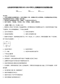 山东省菏泽市部分市县2023-2024学年九上物理期末综合测试模拟试题含答案