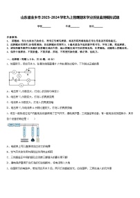 山东省金乡市2023-2024学年九上物理期末学业质量监测模拟试题含答案