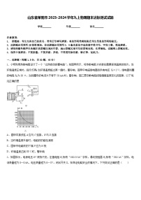 山东省莱阳市2023-2024学年九上物理期末达标测试试题含答案