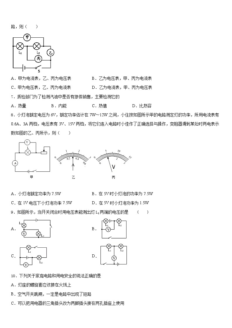 山东省莱阳市2023-2024学年九上物理期末达标测试试题含答案第3页