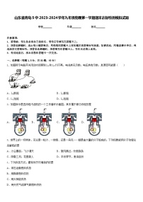 山东省青岛5中2023-2024学年九年级物理第一学期期末达标检测模拟试题含答案