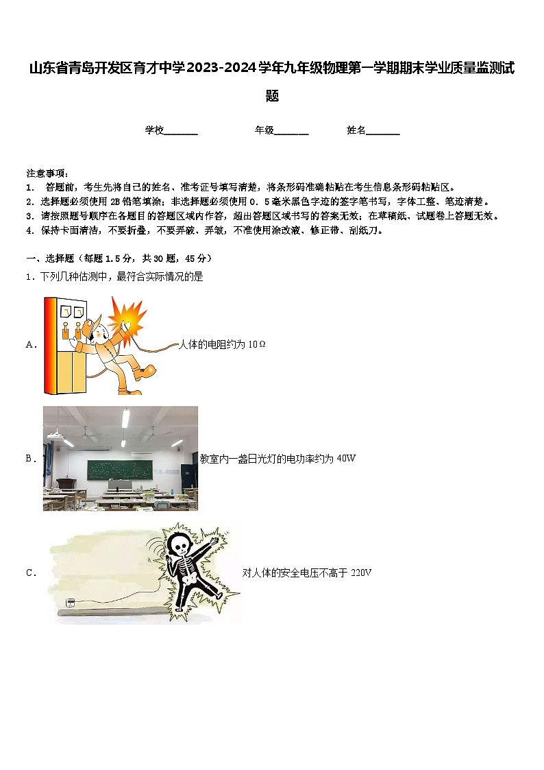 山东省青岛开发区育才中学2023-2024学年九年级物理第一学期期末学业质量监测试题含答案第1页