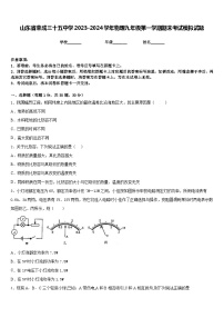 山东省荣成三十五中学2023-2024学年物理九年级第一学期期末考试模拟试题含答案