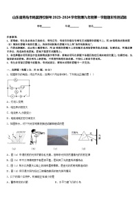 山东省青岛市局属四校联考2023-2024学年物理九年级第一学期期末检测试题含答案