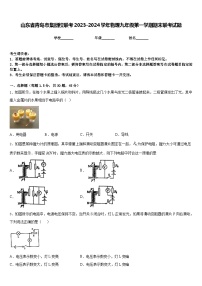 山东省青岛市集团校联考2023-2024学年物理九年级第一学期期末联考试题含答案