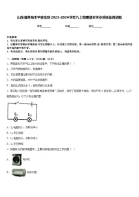 山东省青岛市平度实验2023-2024学年九上物理期末学业质量监测试题含答案