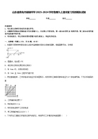 山东省青岛市超银中学2023-2024学年物理九上期末复习检测模拟试题含答案