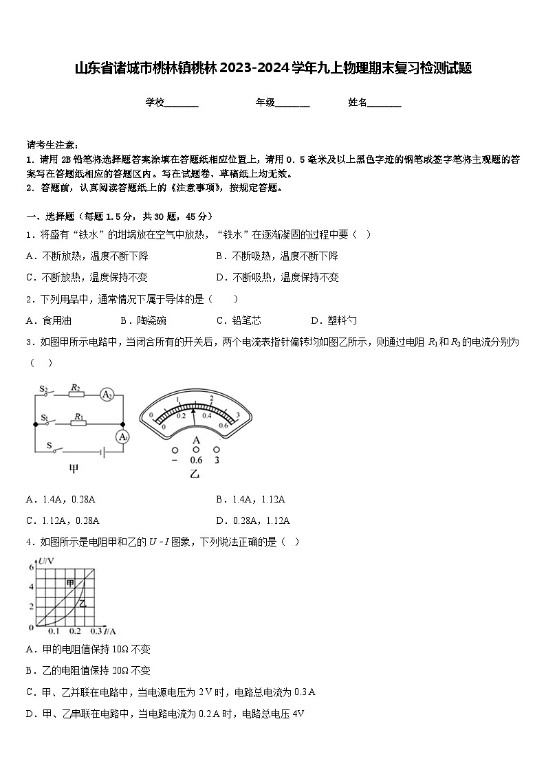 山东省诸城市桃林镇桃林2023-2024学年九上物理期末复习检测试题含答案01