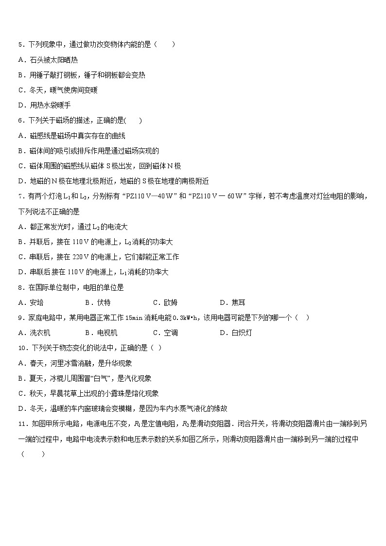 山东省诸城市桃林镇桃林2023-2024学年九上物理期末复习检测试题含答案02
