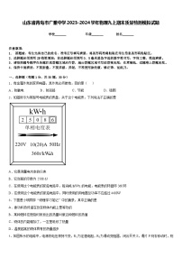 山东省青岛市广雅中学2023-2024学年物理九上期末质量检测模拟试题含答案