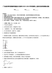 广东省东莞市四海教育集团六校联考2023-2024学年物理九上期末质量检测模拟试题含答案