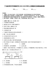 广东省东莞市中学堂星晨学校2023-2024学年九上物理期末质量跟踪监视试题含答案