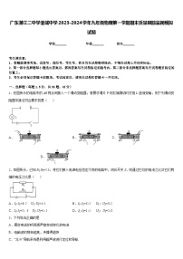 广东湛江二中学港城中学2023-2024学年九年级物理第一学期期末质量跟踪监视模拟试题含答案