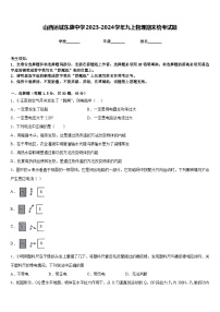 山西运城东康中学2023-2024学年九上物理期末统考试题含答案